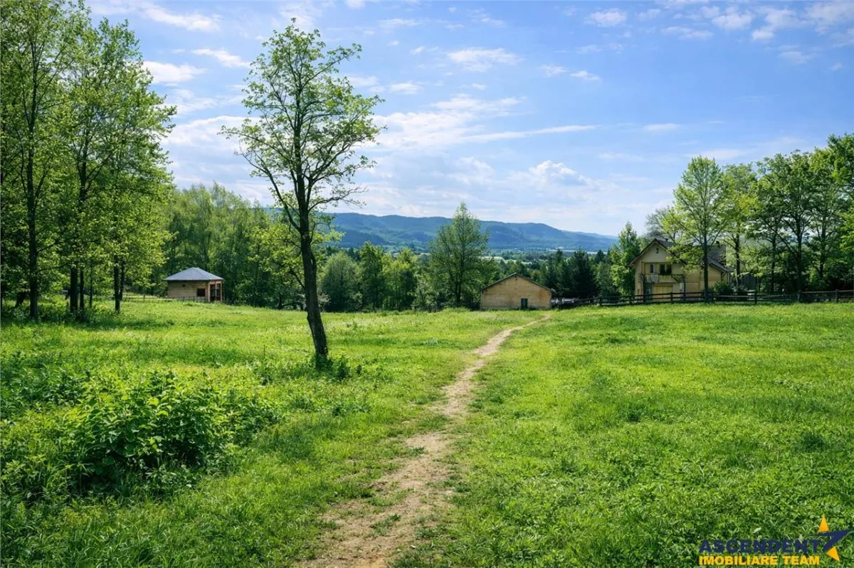 3.000mp de incantare montana cu cabana din lemn masiv, Zarnesti Tohanita - foto 4