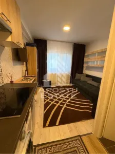 Garsoniera, de vanzare, zona Buziasului, Timisoara - foto 2