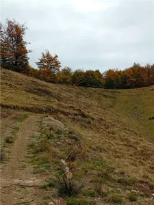 RECO Teren extravilan la Cresuia, Stana de Vale - foto 14