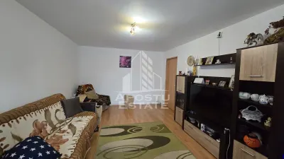 Apartament cu 4 camere de vanzare, zona Lipovei, Timisoara - Timisoara
