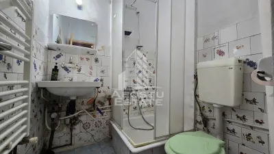 Apartament cu 4 camere de vanzare, zona Lipovei, Timisoara - foto 12