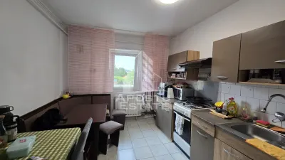 Apartament cu 4 camere de vanzare, zona Lipovei, Timisoara - foto 7