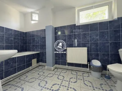 Vila  de vanzare  Valea Lupului,-Popas Pacurari - foto 19