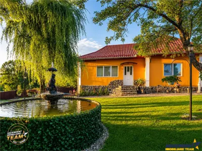 FILM! Doua case cu:piscina,foisor,arbori decorativi,1.700mp teren,Lutoasa,Covasna - Lutoasa