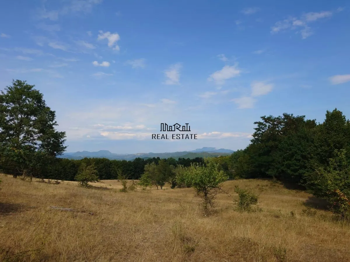 Teren 9.059 mp la liziera padurii, cu priveliste spre Apuseni - foto 1