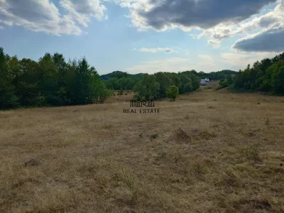 Teren 9.059 mp la liziera padurii, cu priveliste spre Apuseni - foto 11