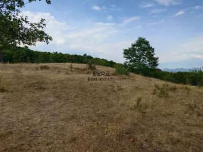 Teren 9.059 mp la liziera padurii, cu priveliste spre Apuseni - foto 12
