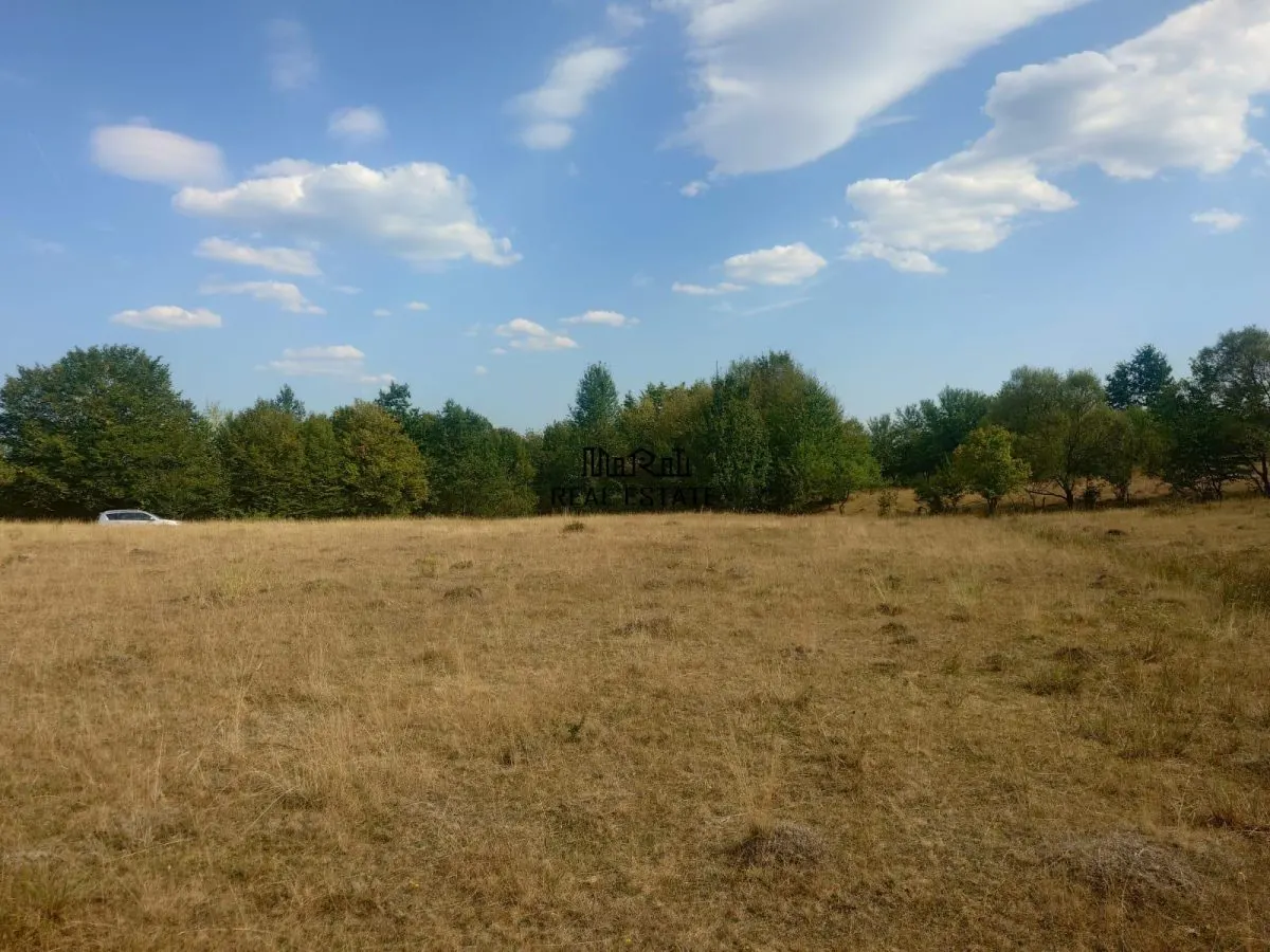 Teren 9.059 mp la liziera padurii, cu priveliste spre Apuseni - foto 4