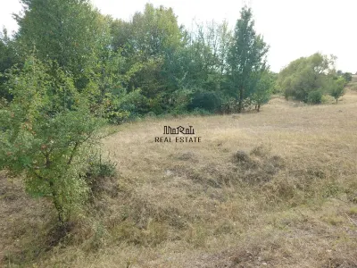 Teren 9.059 mp la liziera padurii, cu priveliste spre Apuseni - foto 7