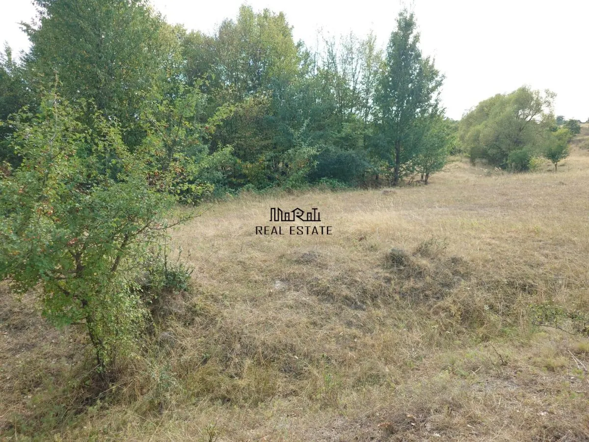 Teren 9.059 mp la liziera padurii, cu priveliste spre Apuseni - foto 7