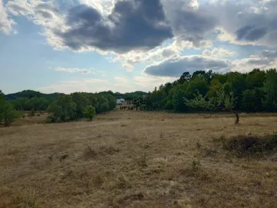Teren 9.059 mp la liziera padurii, cu priveliste spre Apuseni - foto 10