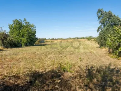 RECO Teren intravilan de vanzare in Gepiu – 2.878 mp - foto 2