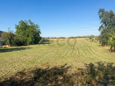 RECO Teren intravilan de vanzare in Gepiu – 2.878 mp - foto 3