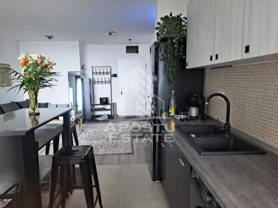 Apartament  cu 2 camere, open space, zona Take Ionescu (ISHO) - foto 3