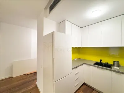Apartament cu 2 camere de inchiriat Soseaua Nordului Herastrau - foto 12