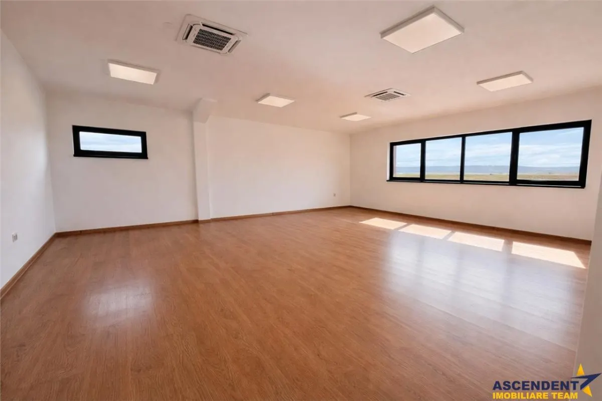 Hala productie premium, domeniu de 4.700 mp teren,Solovastru, Mures - foto 6