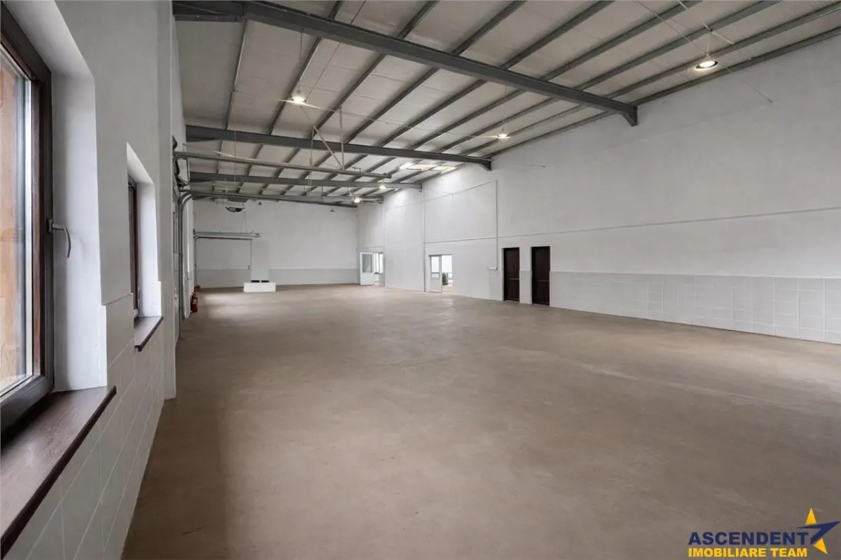 Hala productie premium, domeniu de 4.700 mp teren,Solovastru, Mures - foto 7