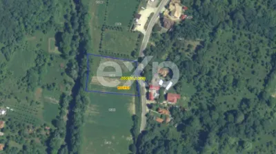 Teren intravilan la tara in Arges - 3.565 mp in comuna Boteni - Boteni