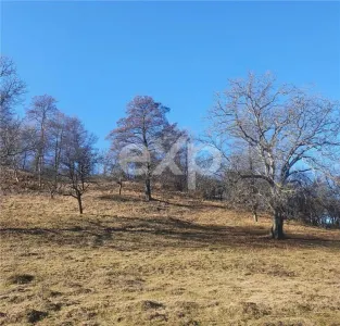 Teren intravilan Valea Româneștilor – 4614 mp, utilități la limită, Campulung - foto 7