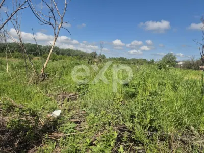 De vanzare teren la super pret in Albota, Cerbu, Arges - foto 2