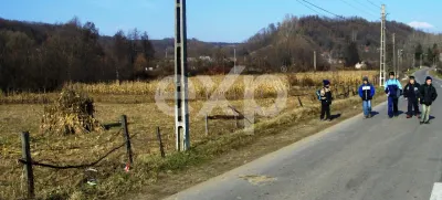 Teren intravilan 21.000 mp de vânzare – Suseni, Comuna Bogați, Județul Argeș - foto 8