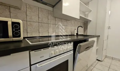 Apartament 2 camere Cal.Romanilor.Din 01.08 - foto 9