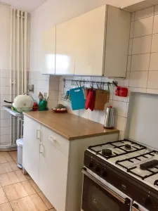 Apartament 3 camere | Blvd. Independenței -  5 minute de UMF | 550€ - foto 5