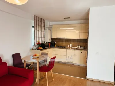 Apartament 3 camere +terasa +boxa+garaj, Pacurari - foto 2