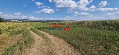 Teren intravilan construibil de 5.900 mp, zonă industrială, Șoseaua de Centură – Alba Iulia - foto 3
