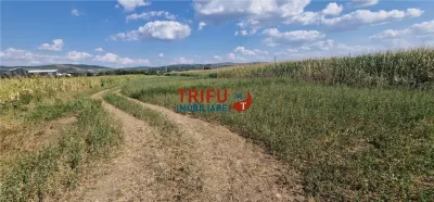 Teren intravilan construibil de 5.900 mp, zonă industrială, Șoseaua de Centură – Alba Iulia - foto 4