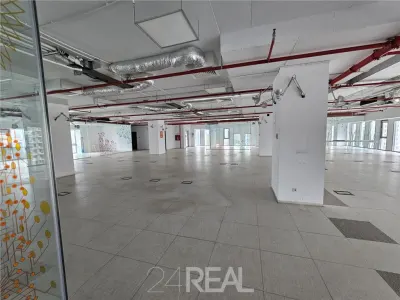Inchiriere spatii de birouri in Bulevardul Expozitiei, de la 9.9 euro - foto 12