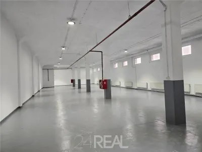 Spatii depozitare, productie, birouri, showroom-uri - de la 450 mp - foto 2