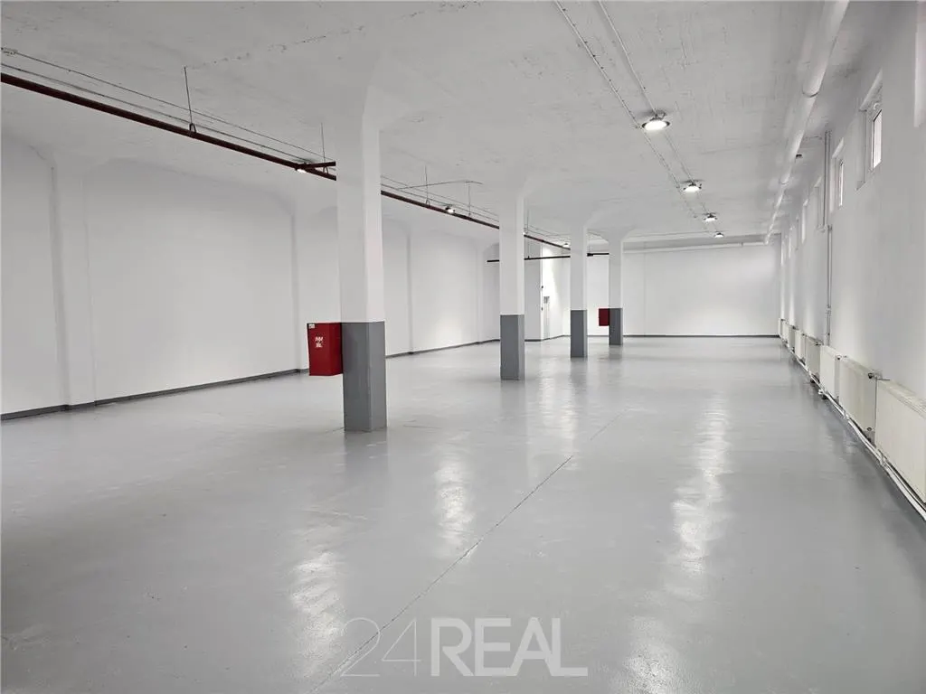 Spatii depozitare, productie, birouri, showroom-uri - de la 450 mp - foto 6