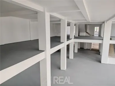 Spatiu comercial - stradal DN1 - showroom + depozitare - foto 5