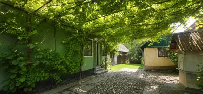 CASA RUSTICA CU TEREN 1800 MP, CART. SARATA, JUD BN - foto 11