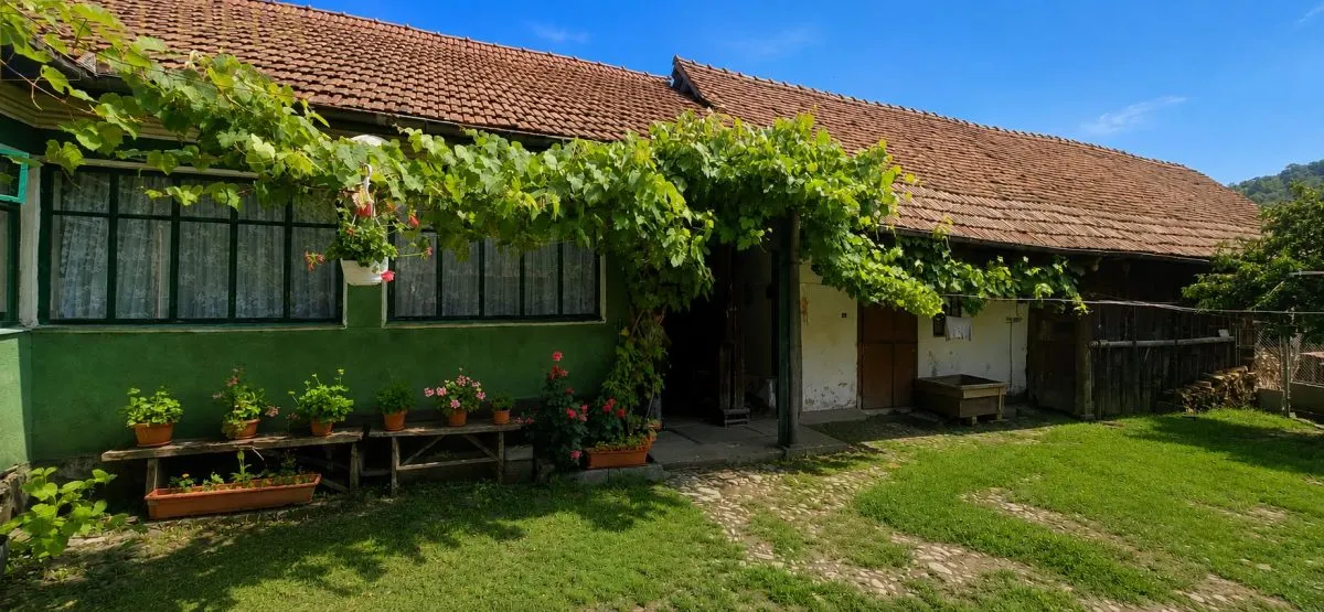 CASA RUSTICA CU TEREN 1800 MP, CART. SARATA, JUD BN - foto 4