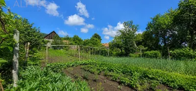 CASA RUSTICA CU TEREN 1800 MP, CART. SARATA, JUD BN - foto 8