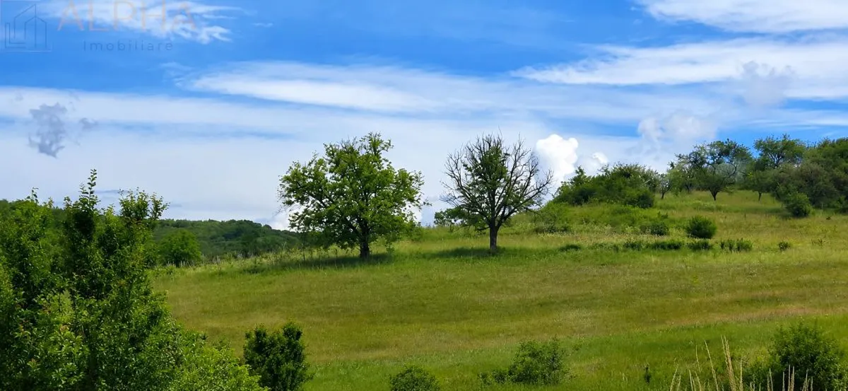 CASA CU TEREN GENEROS IN HERINA, BN – OPORTUNITATE DE INVESTITIE TURISTICA SAU REZIDENTIALA - foto 15