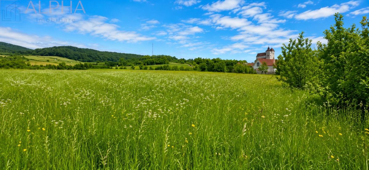 CASA CU TEREN GENEROS IN HERINA, BN – OPORTUNITATE DE INVESTITIE TURISTICA SAU REZIDENTIALA - foto 20