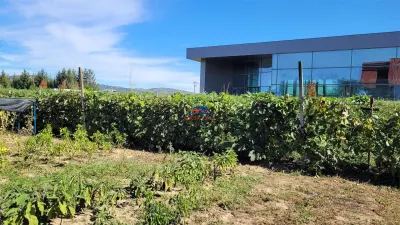 Teren in Onesti/VANDUT 0742 801 123, str Redului - foto 3
