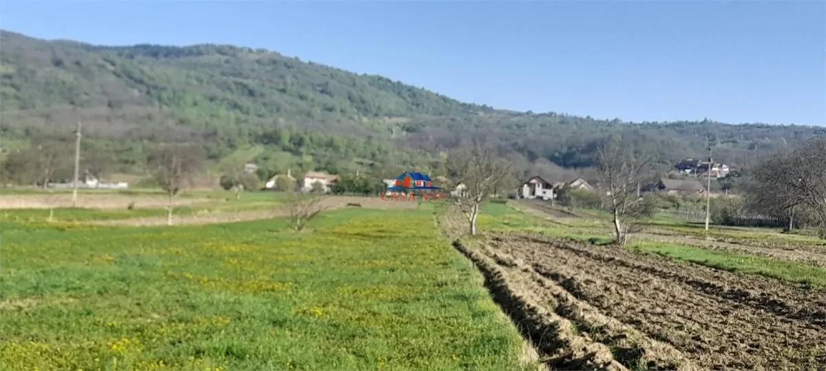 Teren in com. Oituz, 3 euro/mp - foto 2