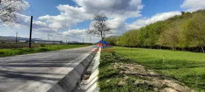 Teren in Onesti/VANDUT 0742 801 123, com. Casin - foto 9