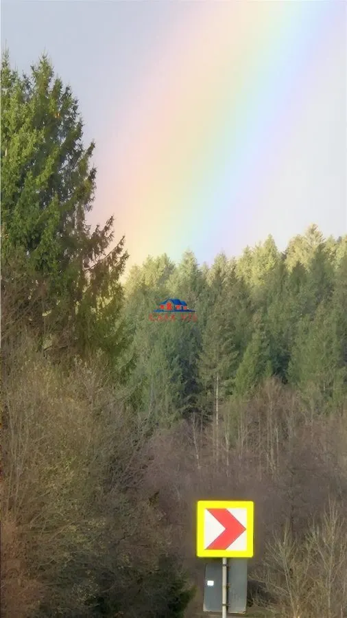 Teren cu padure in com. Caiuti - foto 6
