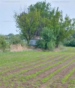 la Soseaua Principala (Braila-Buzau) Teren 9000 mp deschidere 120m  Lacu Sarat - foto 3