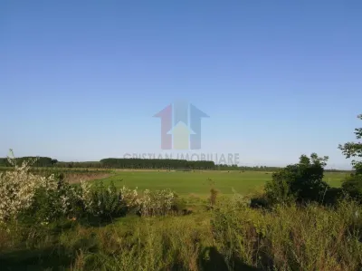 Teren intravilan de constructii, Chiscani, St - 2200 mp, deschidere 50 m - Chiscani