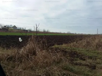 Teren intravilan de constructii, Chiscani, St- 3000 mp - Chiscani