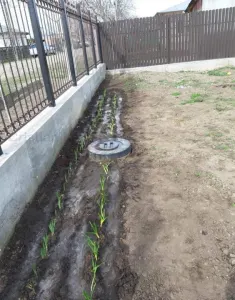 Pozitie EXCELENTA intravilan Lacu Sarat 1300 mp latime 18m ingradit fier forjat 50 euro/mp - foto 3