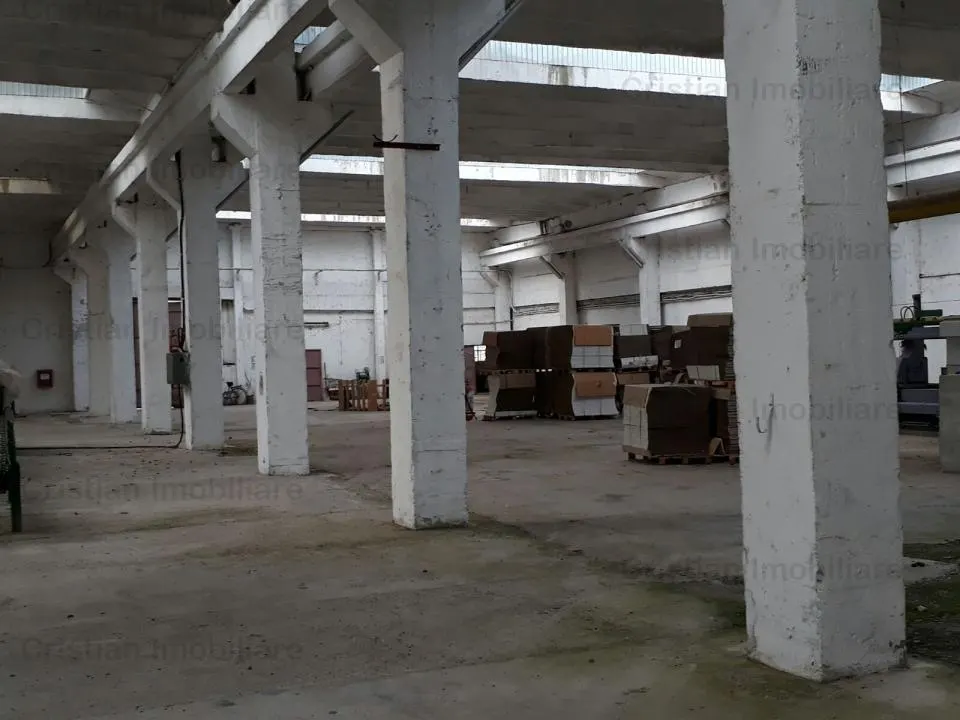 Hala / spatiu depozitare, zona Chiscani, suprafata 14450 mp - foto 4