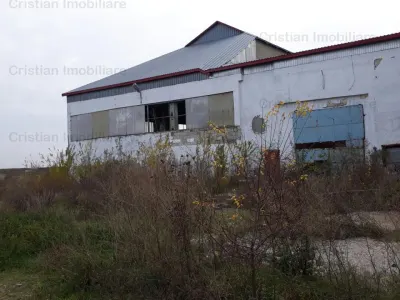 Hala / spatiu depozitare, zona Chiscani, suprafata 14450 mp - foto 8