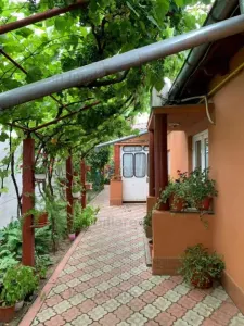 Casa Pretabila 2 familii teren 400 mp deschidere 12 m Brailita - foto 6